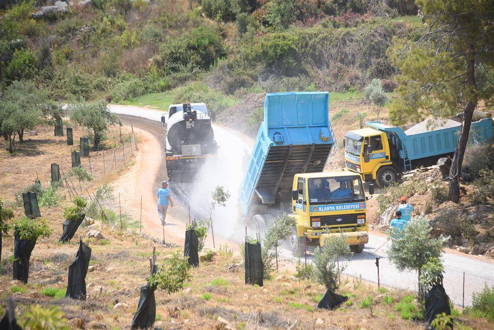 Муниципалитет Аланьи бьет рекорды по асфальтированию